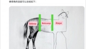 外网网友：佛得角的阵容简直是中前场标清，后场4K画质啊！